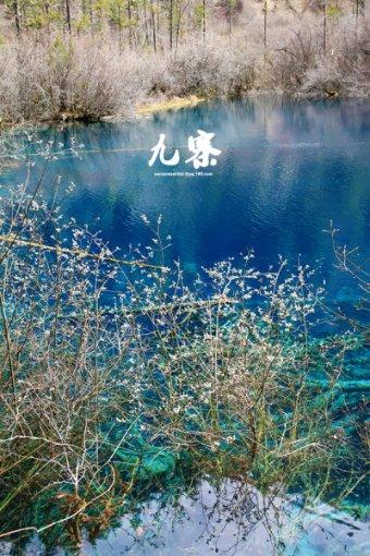 可爱猪救援2