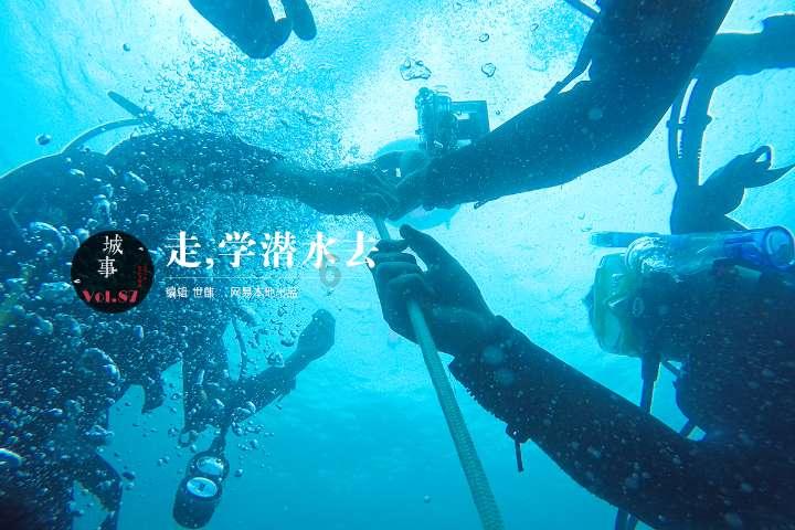 救援大嘴鸟